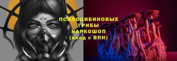 соль ск Аркадак