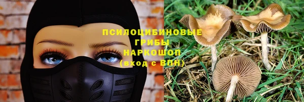 соль ск Аркадак